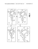 Antibiotic Compositions For The Treatment of Gram Negative Infections diagram and image