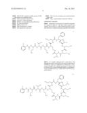 Antibiotic Compositions For The Treatment of Gram Negative Infections diagram and image