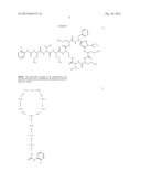 Antibiotic Compositions For The Treatment of Gram Negative Infections diagram and image