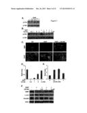 Method for Achieving Desired Glial Growth Factor 2 Plasma Levels diagram and image