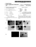 Basement Membrane Compositions and Applications Thereof diagram and image