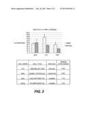 Basement Membrane Compositions and Applications Thereof diagram and image