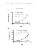 MODULATION OF p62 FUNCTION THROUGH THE PB1 DOMAIN diagram and image