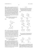 HYDROXYL, KETO, AND GLUCURONIDE DERIVATIVES OF     3-(4-(7H-PYRROLO[2,3-d]PYRIMIDIN-4-YL)-1H-PYRAZOL-1-YL)-3-CYCLOPENTYLPROP-    ANENITRILE diagram and image