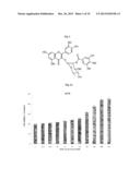 COMPOSITION FOR PROMOTING HEMATOGENESIS CONTAINING QUERCETIN     3-O-beta-(2  -GALLOYL)-RHAMNOPYRANOSIDE AS ACTIVE INGREDIENT diagram and image