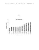 COMPOSITION FOR PROMOTING HEMATOGENESIS CONTAINING QUERCETIN     3-O-beta-(2  -GALLOYL)-RHAMNOPYRANOSIDE AS ACTIVE INGREDIENT diagram and image