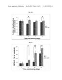 COMPOSITION FOR PROMOTING HEMATOGENESIS CONTAINING QUERCETIN     3-O-beta-(2  -GALLOYL)-RHAMNOPYRANOSIDE AS ACTIVE INGREDIENT diagram and image