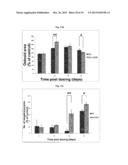 COMPOSITION FOR PROMOTING HEMATOGENESIS CONTAINING QUERCETIN     3-O-beta-(2  -GALLOYL)-RHAMNOPYRANOSIDE AS ACTIVE INGREDIENT diagram and image