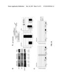 TREATMENTS FOR CELLULAR PROLIFERATIVE DISORDERS AND IDENTIFICATION THEREOF diagram and image