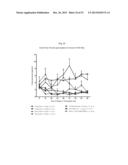 PROTEASOME INHIBITOR DELANZOMIB FOR USE IN THE TREATMENT OF LUPUS diagram and image