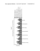 PROTEASOME INHIBITOR DELANZOMIB FOR USE IN THE TREATMENT OF LUPUS diagram and image