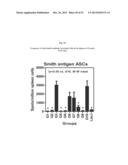 PROTEASOME INHIBITOR DELANZOMIB FOR USE IN THE TREATMENT OF LUPUS diagram and image