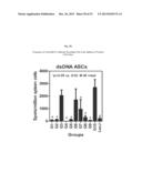 PROTEASOME INHIBITOR DELANZOMIB FOR USE IN THE TREATMENT OF LUPUS diagram and image