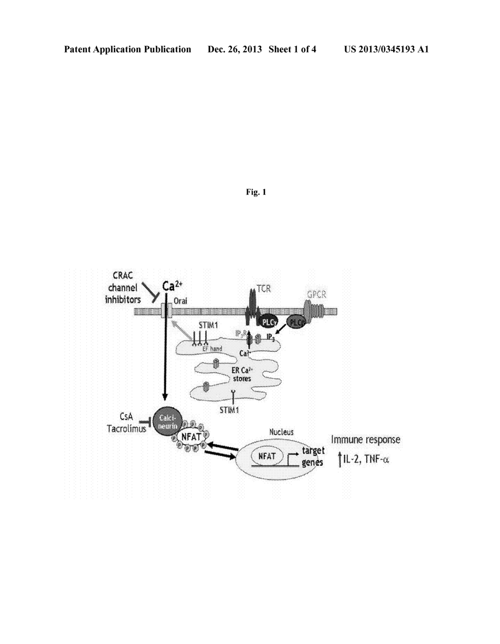 COMPOUNDS THAT MODULATE INTRACELLULAR CALCIUM - diagram, schematic, and image 02