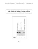 ANTICANCER THERAPEUTIC AGENTS diagram and image