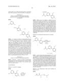 INHIBITORS OF PROTEIN KINASES diagram and image