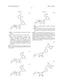 HETEROARYL COMPOUNDS USEFUL AS INHIBITORS OF E1 ACTIVATING ENZYMES diagram and image