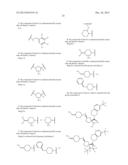 CYCLOHEXANE SUBSTITUTED AMINO CYCLOPENTANE DERIVATIVES AS USEFUL CCR2     ANTAGONISTS diagram and image