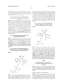 CONJUGATED 3-(INDOLYL)- AND 3-(AZAINDOLYL)-4-ARYLMALEIMIDE COMPOUNDS AND     THEIR USE IN TUMOR TREATMENT diagram and image