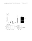 Methods and Compositions for Inhibiting the Proliferation of Cancer Cells diagram and image