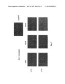 PHARMACEUTICAL COMPOSITION CONTAINING L-DNA diagram and image