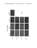 PHARMACEUTICAL COMPOSITION CONTAINING L-DNA diagram and image