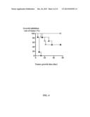 TARGETED ONCOLYTIC ADENOVIRUS FOR TREATMENT OF HUMAN TUMORS, CONSTRCUTION     METHOD AND APPLICATION THEREOF diagram and image