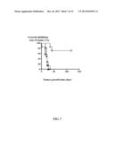 TARGETED ONCOLYTIC ADENOVIRUS FOR TREATMENT OF HUMAN TUMORS, CONSTRCUTION     METHOD AND APPLICATION THEREOF diagram and image