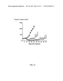 TARGETED ONCOLYTIC ADENOVIRUS FOR TREATMENT OF HUMAN TUMORS, CONSTRCUTION     METHOD AND APPLICATION THEREOF diagram and image