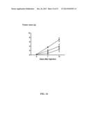 TARGETED ONCOLYTIC ADENOVIRUS FOR TREATMENT OF HUMAN TUMORS, CONSTRCUTION     METHOD AND APPLICATION THEREOF diagram and image