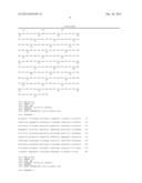 TARGETED ONCOLYTIC ADENOVIRUS FOR TREATMENT OF HUMAN TUMORS, CONSTRCUTION     METHOD AND APPLICATION THEREOF diagram and image