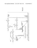 Biodegradable Photoluminescent Polymers diagram and image