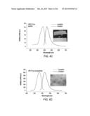 Biodegradable Photoluminescent Polymers diagram and image