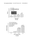 Biodegradable Photoluminescent Polymers diagram and image