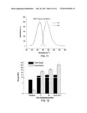 Biodegradable Photoluminescent Polymers diagram and image