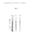 Devices and Methods for Integrated Continuous Manufacturing of Biological     Molecules diagram and image