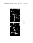 METHODS OF PREPARING PHARMACEUTICAL SOLID STATE FORMS diagram and image