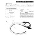 PROPRIOCEPTIVE ENDOSCOPE AND VIRTUAL DYNAMIC TOMOGRAPHY diagram and image