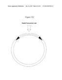 MEDICAL DEVICE FOR IMPLANTATION INTO LUMINAL STRUCTURES diagram and image