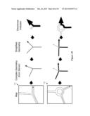 NAVIGATION APPLICATION WITH ADAPTIVE DISPLAY OF GRAPHICAL DIRECTIONAL     INDICATORS diagram and image