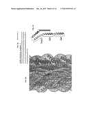 BACTERIAL RESISTANT TRANSGENIC PLANTS HAVING DYSFUNCTIONAL T3SS PROTEINS diagram and image