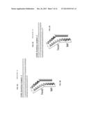 BACTERIAL RESISTANT TRANSGENIC PLANTS HAVING DYSFUNCTIONAL T3SS PROTEINS diagram and image