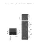 BACTERIAL RESISTANT TRANSGENIC PLANTS HAVING DYSFUNCTIONAL T3SS PROTEINS diagram and image