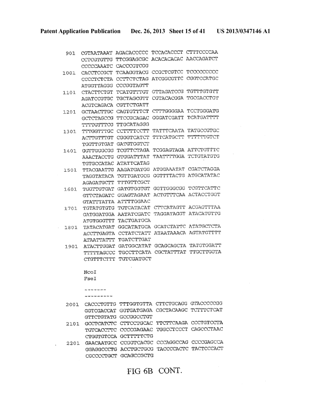 GNTIII EXPRESSION IN PLANTS - diagram, schematic, and image 16