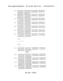 GNTIII EXPRESSION IN PLANTS diagram and image