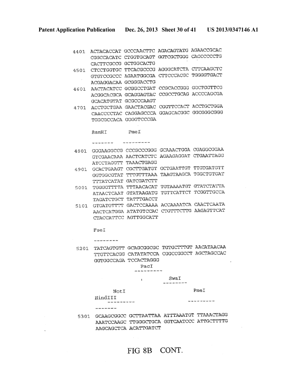 GNTIII EXPRESSION IN PLANTS - diagram, schematic, and image 31