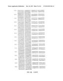 GNTIII EXPRESSION IN PLANTS diagram and image