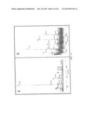 GNTIII EXPRESSION IN PLANTS diagram and image