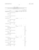 GNTIII EXPRESSION IN PLANTS diagram and image