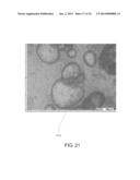 Films and Drug Delivery Systems Made Therefrom diagram and image